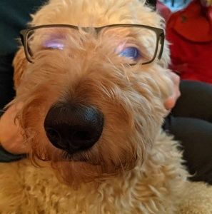 Meet your Posher, Maureen